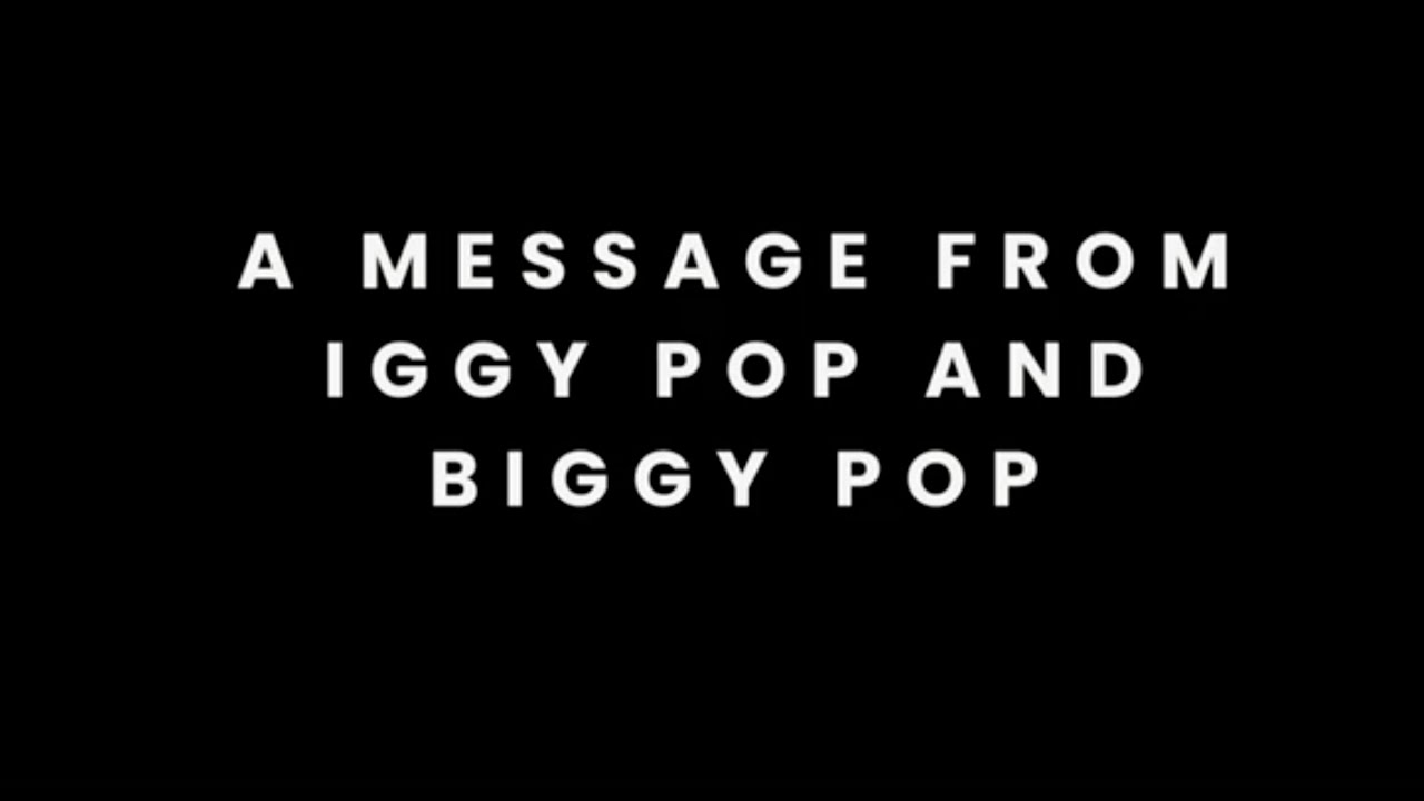 Biggy & Iggy Pop calls for public support for Byron Bay Wildlife Hospital.