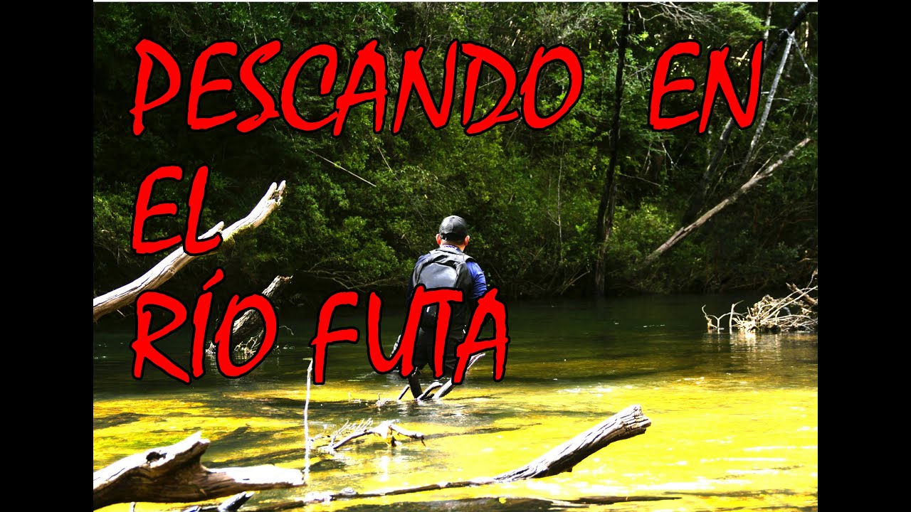 PESCANDO EN EL RÍO FUTA// #pescadeportiva
