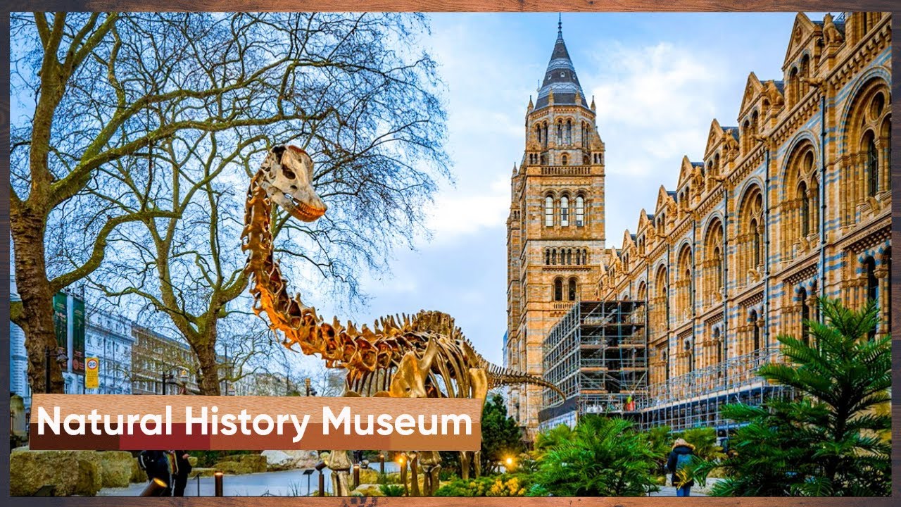 লন্ডনের Natural History Museum ভ্রমণ | ডাইনোসর, Earth Hall ও বিখ্যাত Big Blue Stone দেখুন #london