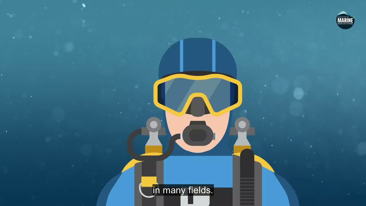 IMarEST - Providing Technical Leadership