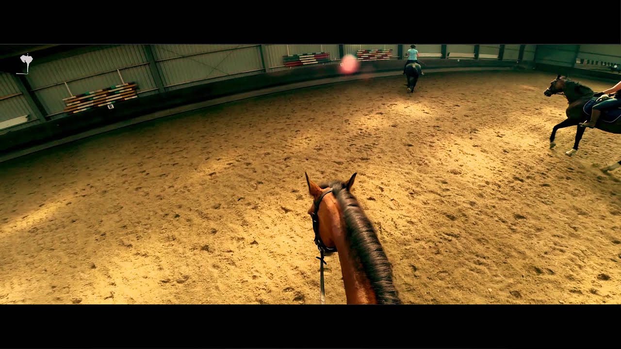 MET DE GOPRO PAARDRIJDEN - WILDERNIS #9