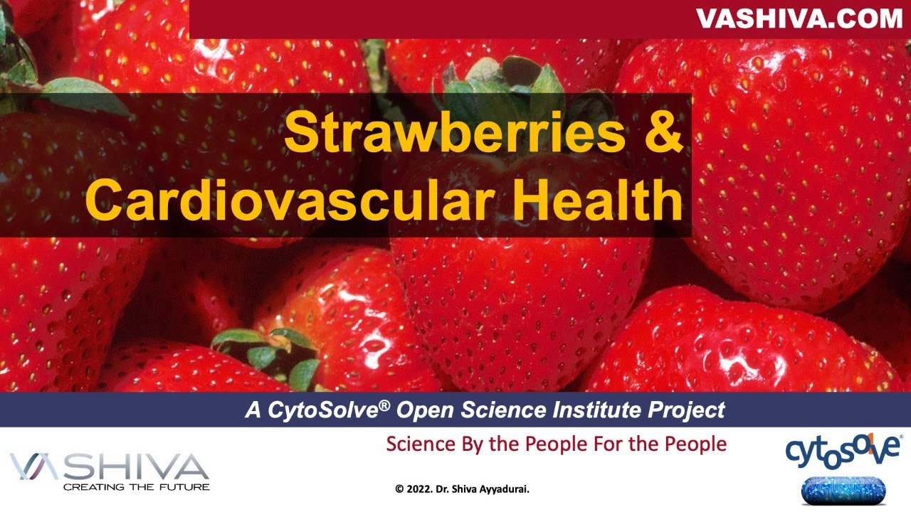 Dr.SHIVA: Strawberries & Cardiovascular Health - A CytoSolve® Analysis