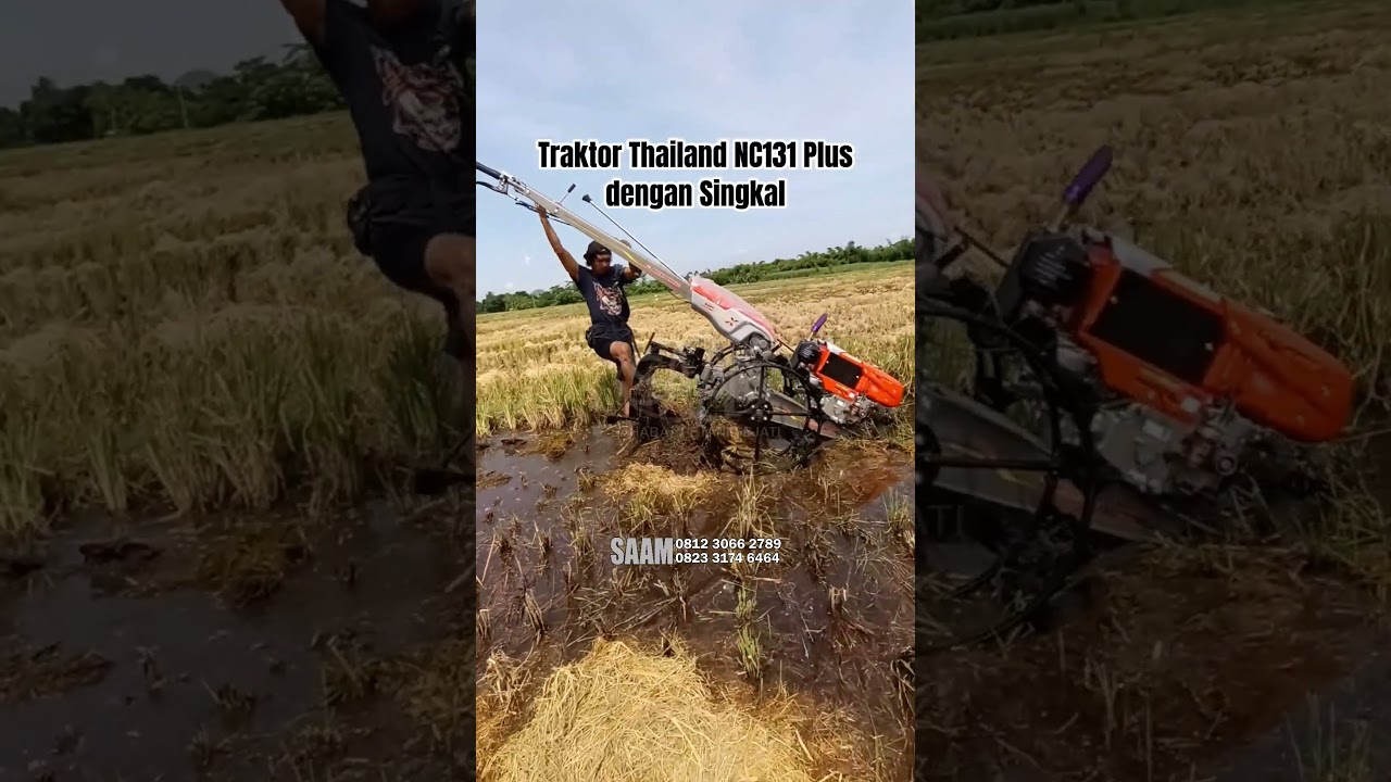 Traktor Thailand NC131 Plus dengan Singkal / luku #saamjember #saam #traktor #mekanisasipertanian