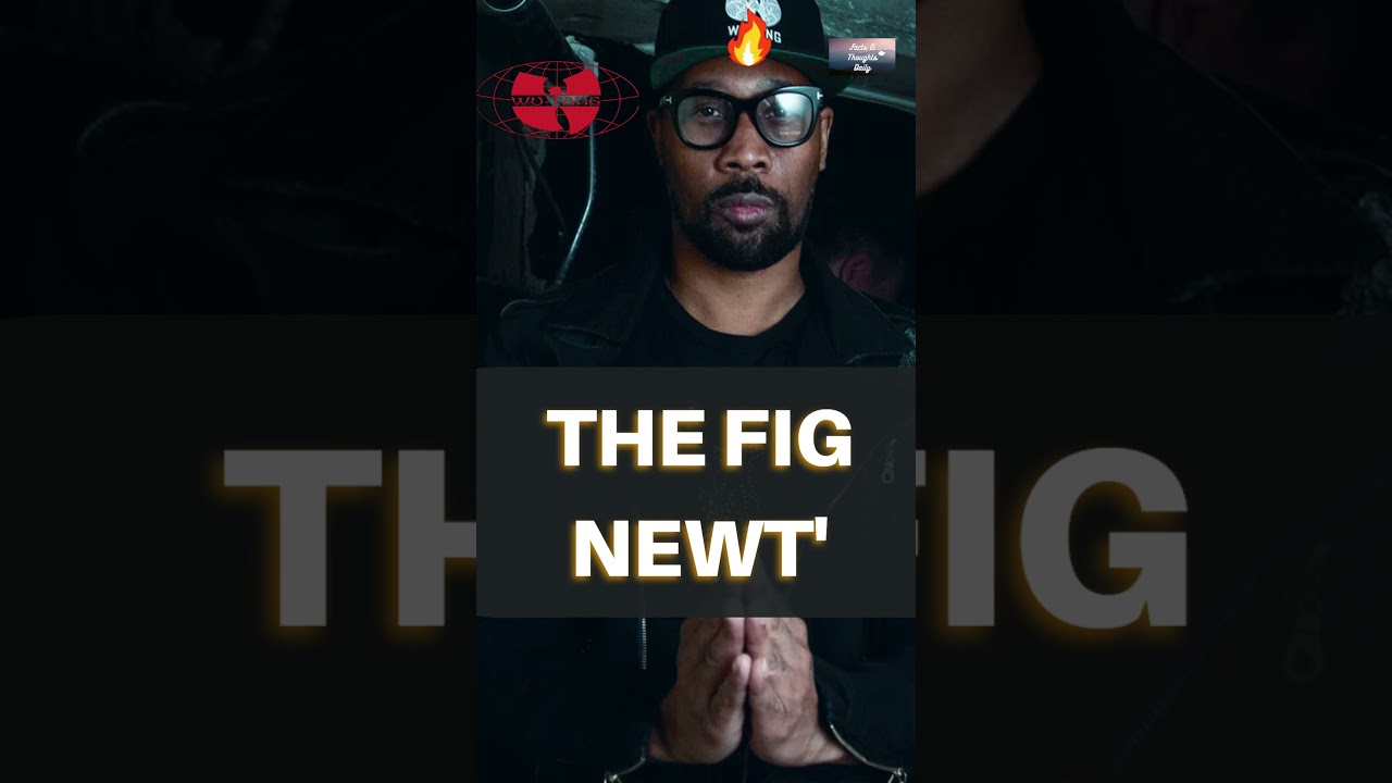 RZA 🔥  'Hellz Wind Staff' 🎙️🐝👐 #RZA #WuTang #HipHop