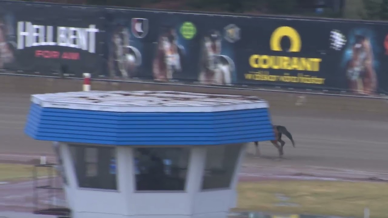 Åbytravet 260226 - Montékval