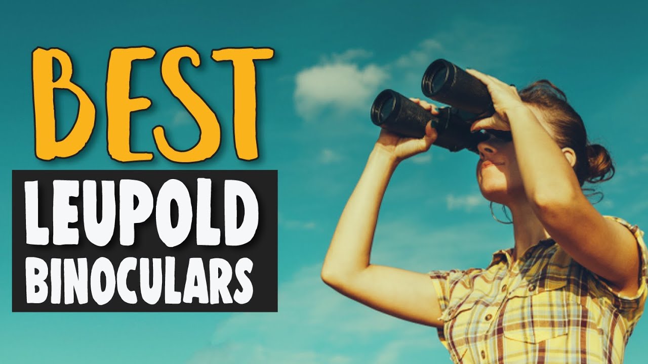 Best Leupold Binoculars in 2020 &ndash; Explore the World Now!