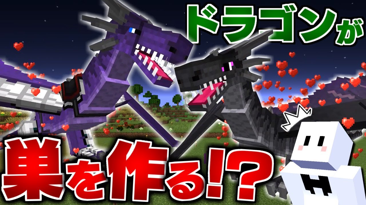 【マイクラ】ドラゴンだらけの世界で全てのドラゴンを飼いならす #13 ドラゴンが繁殖すると巣を作る？【マインクラフト】