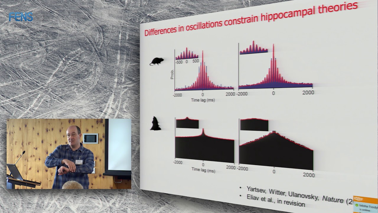 Nachum Ulanovsky on Spatial cells in the hippocampal formation - PART II