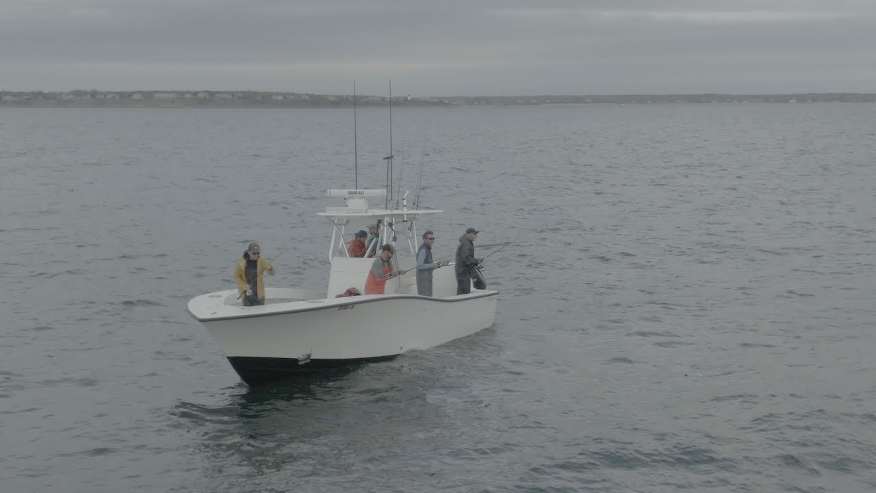 Black Sea Bass Fishing at a Cape Cod Shipwreck