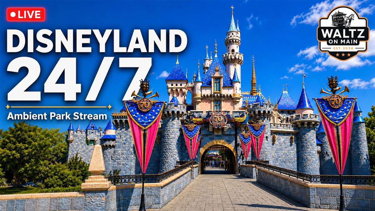 Disneyland 24/7 Ambient Park Vibes, Ride POVs & Shows in 4K