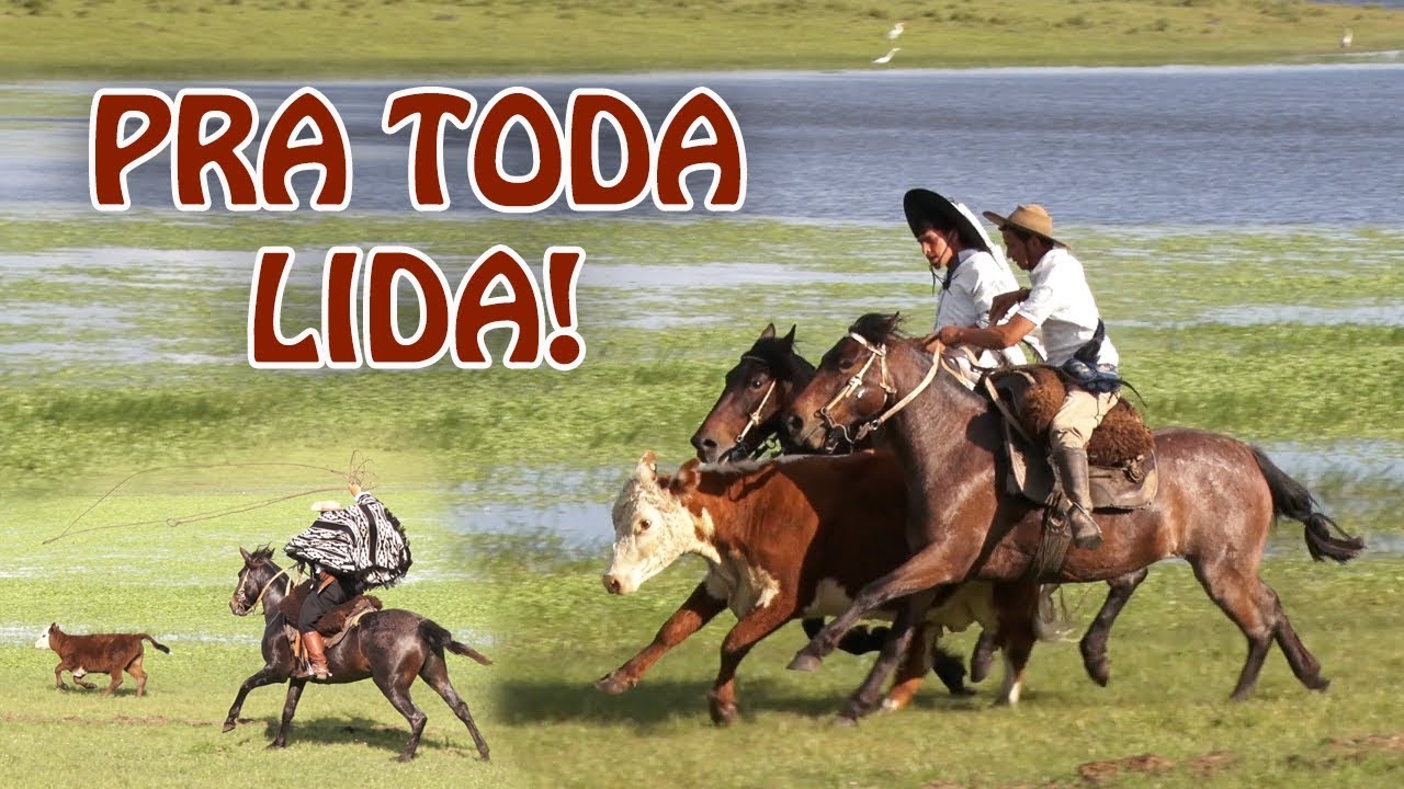 LA INVERNADA: cavalos CAMPEIROS e RESISTENTES!