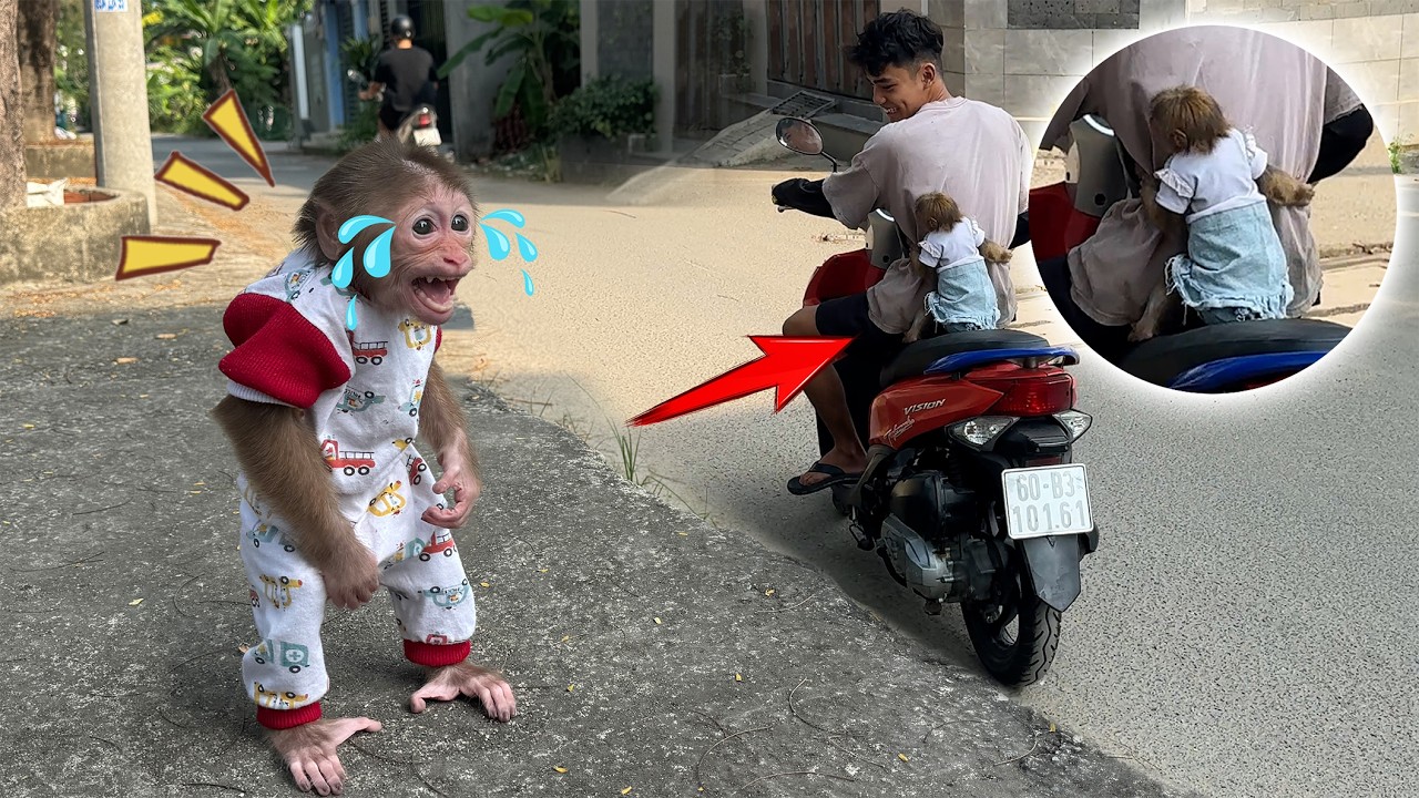 Lucky follows a stranger, leaving Sunny behind on the road!