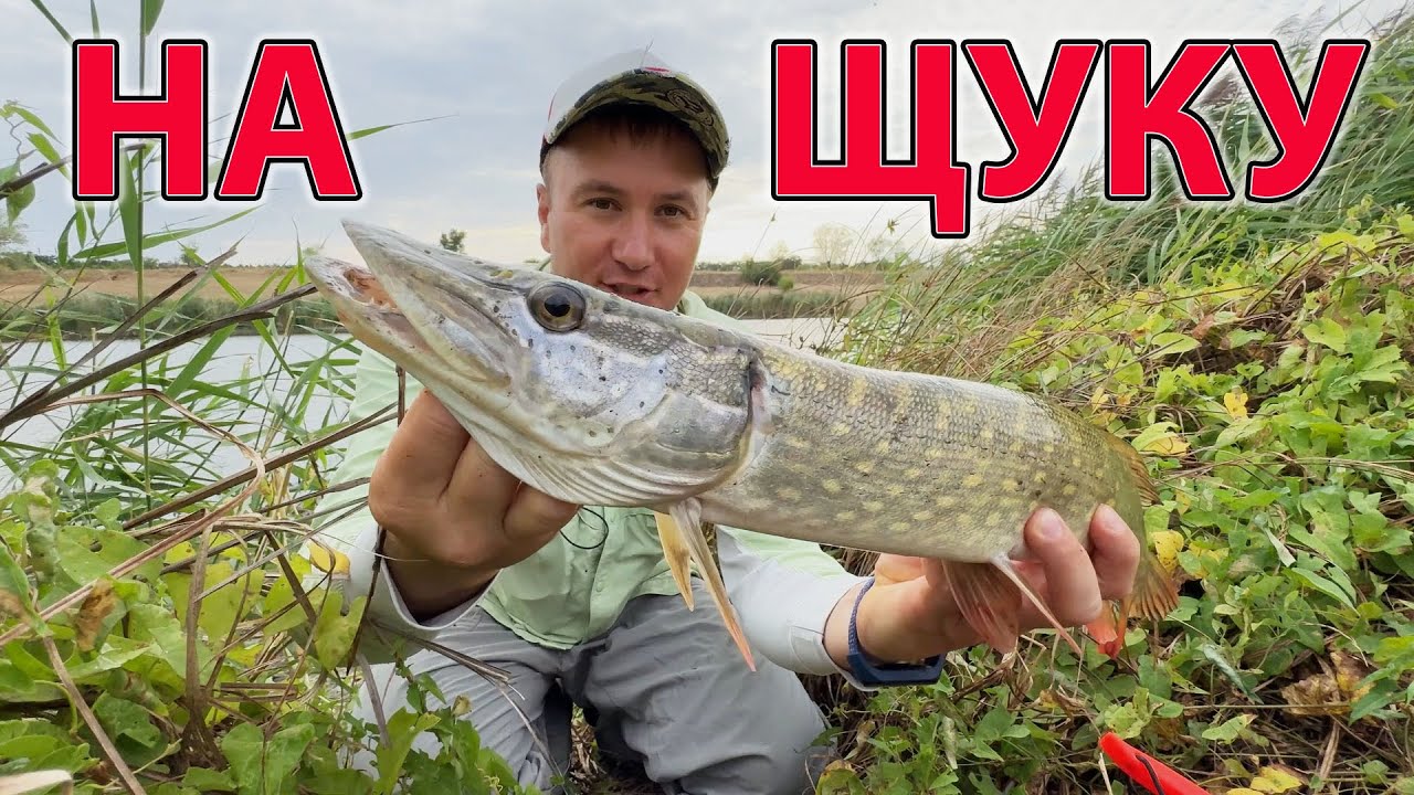 ЯКИЙ Найкращий КОЛІР на ЩУКУ ?? ловля щуки на силіконові приманки