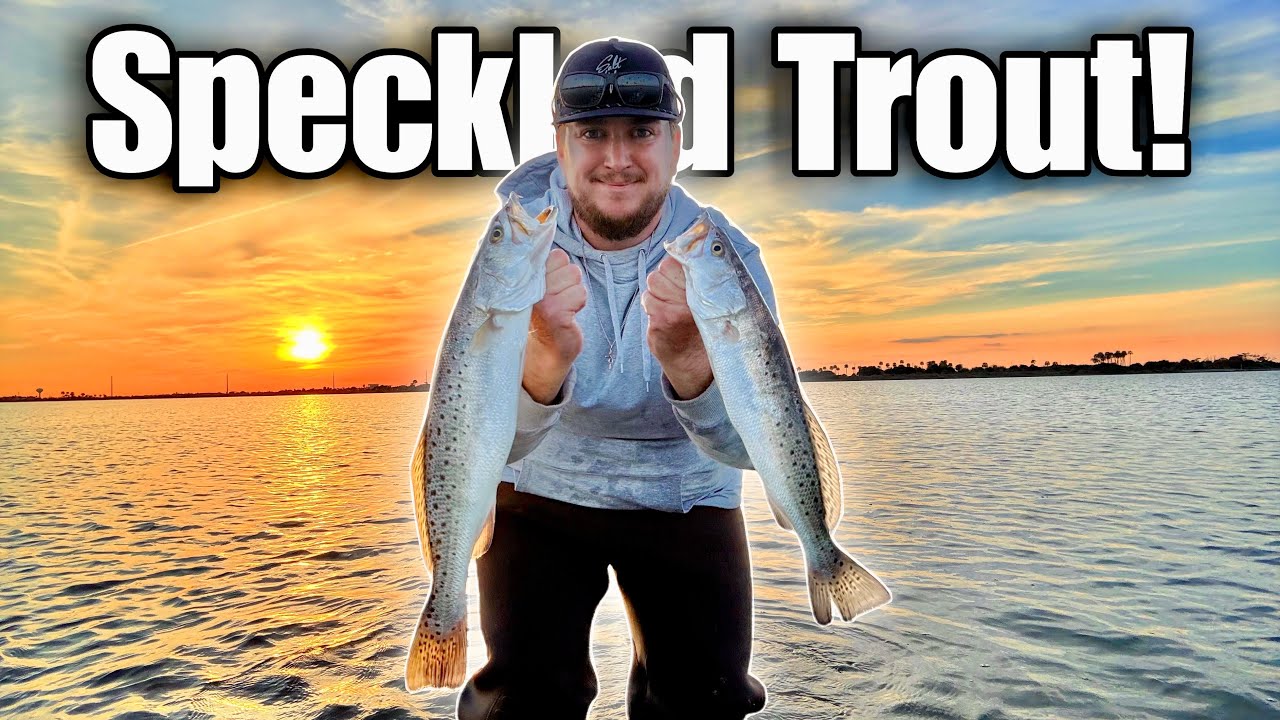 I Finally Found Them… Winter Speckled Trout LIMIT (Catch & Cook)