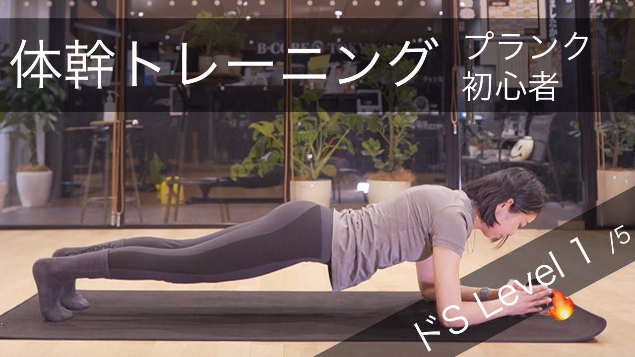 体幹 鍛える トレーニング【ドS Level 1/5】