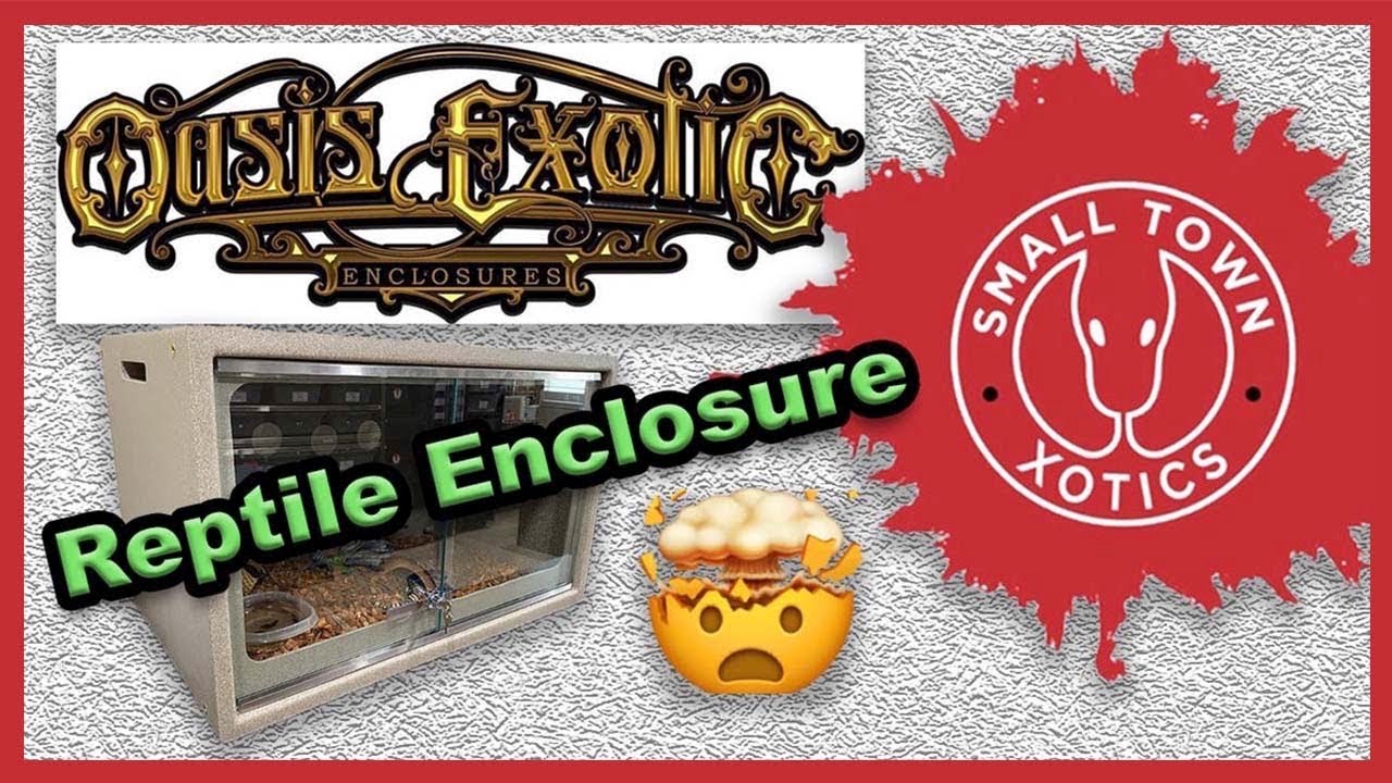 New Innovative Reptile Enclosure | Setting up a Beaded Lizard!