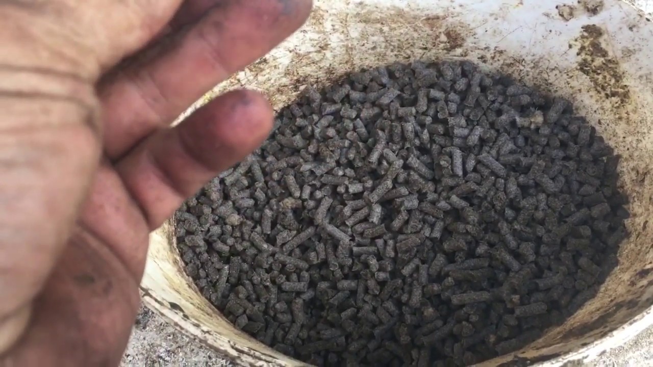Гранулированная Овечьей Шерсти! Для Сева Вместе с Зерновыми! Granulated Sheep's Wool!