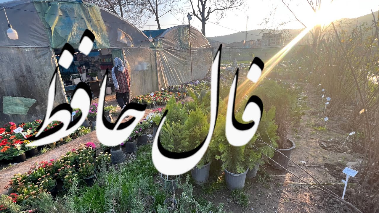 حضرت حافظ برات پیام داره 🪬  #فال  #فالروزانه_راز  #فال_حافظ_راز#فالروزانه #حافظ_خوانی 
