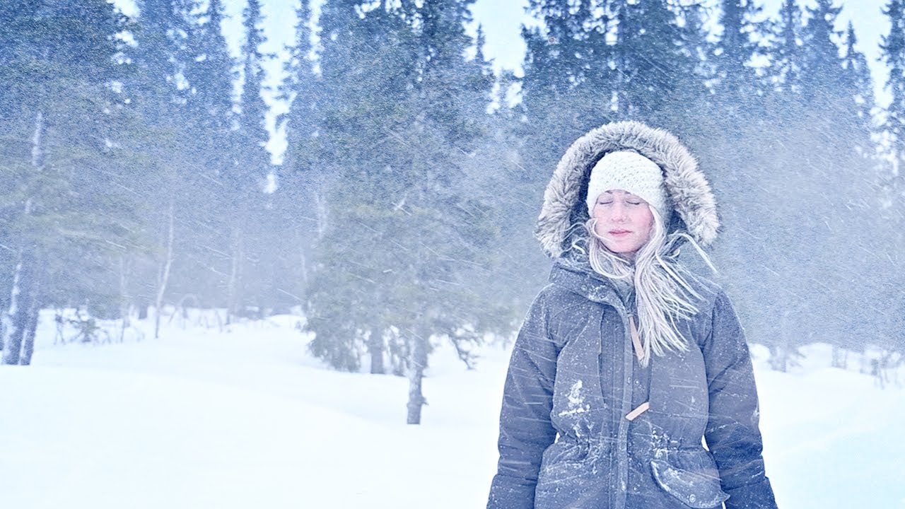 Be like the Bison | Walk through the storms