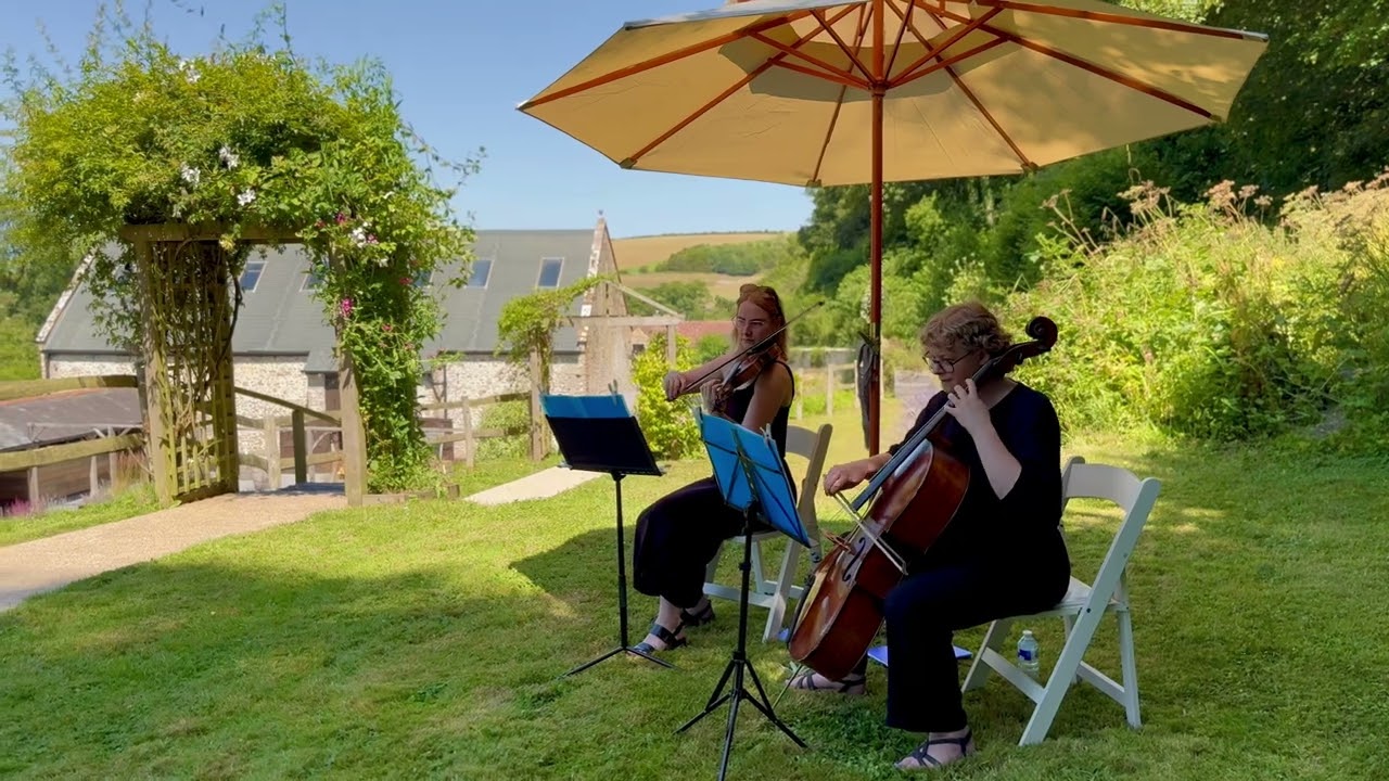 DLE String Section | Ceremony, Drinks & Reception, Dinner Party's, Corporate Receptions.