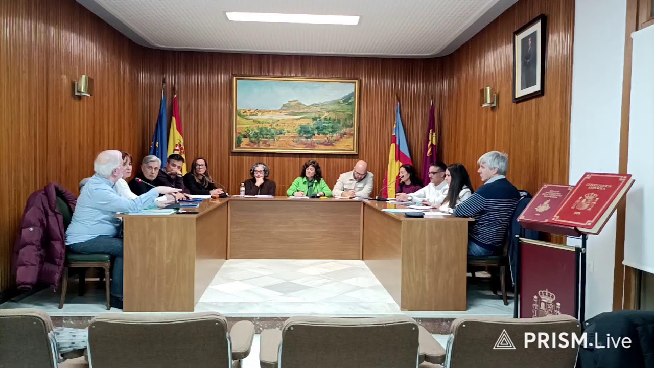 Ple ordinari de gener
