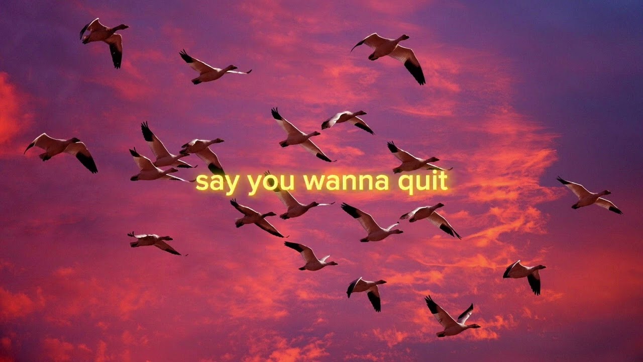 Billie Eilish - BIRDS OF A FEATHER (Clean Lyrics)