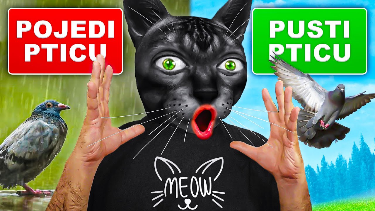 ŽIVIM ŽIVOT KAO MAČKA🐱!!! *MJAU MJAU*