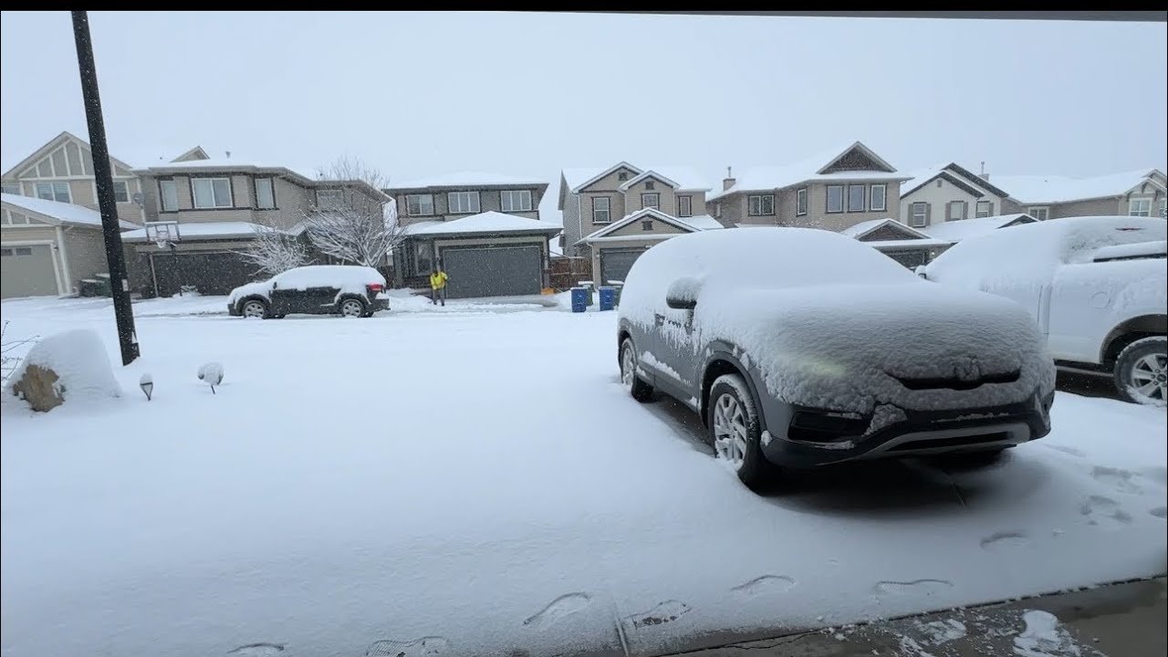 Canadian Snow Storm ❄️🌨️