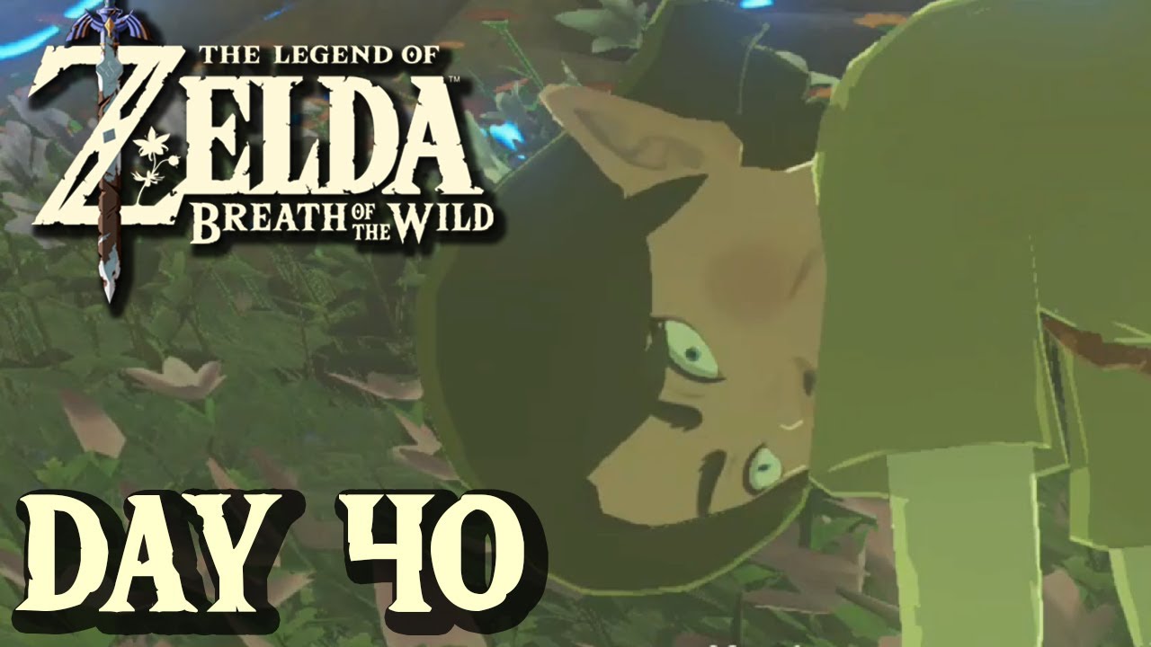 Don't Step On The Flowers - Breath of the Wild | DAY 40