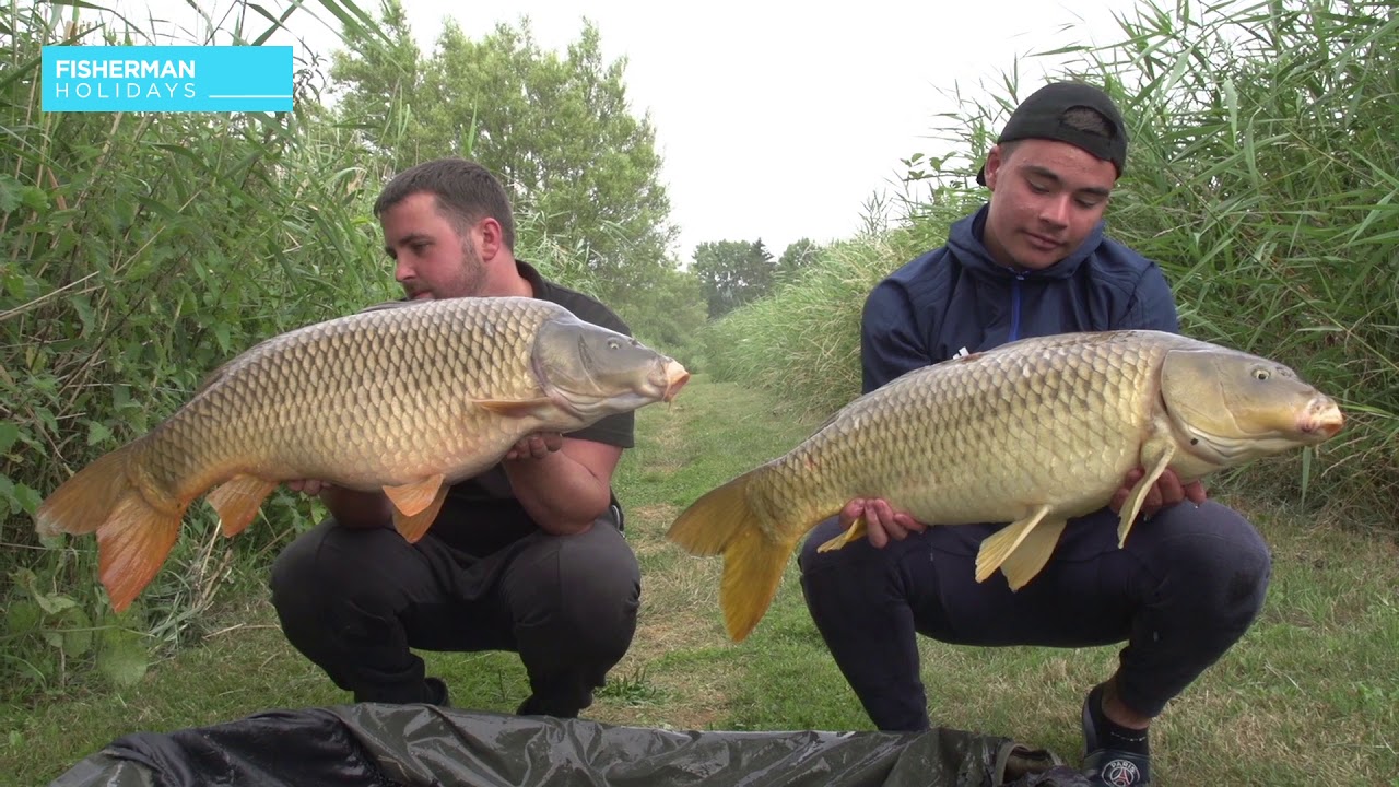 Etang du Moulin - Carp fishing holidays in France