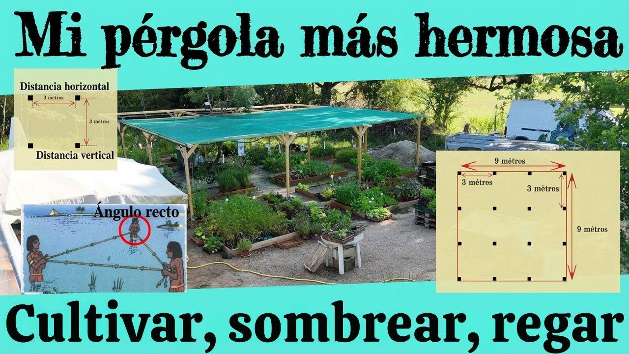 Cómo hacer una pérgola grande y sencilla: cultiva, obtén sombra y riega fácil