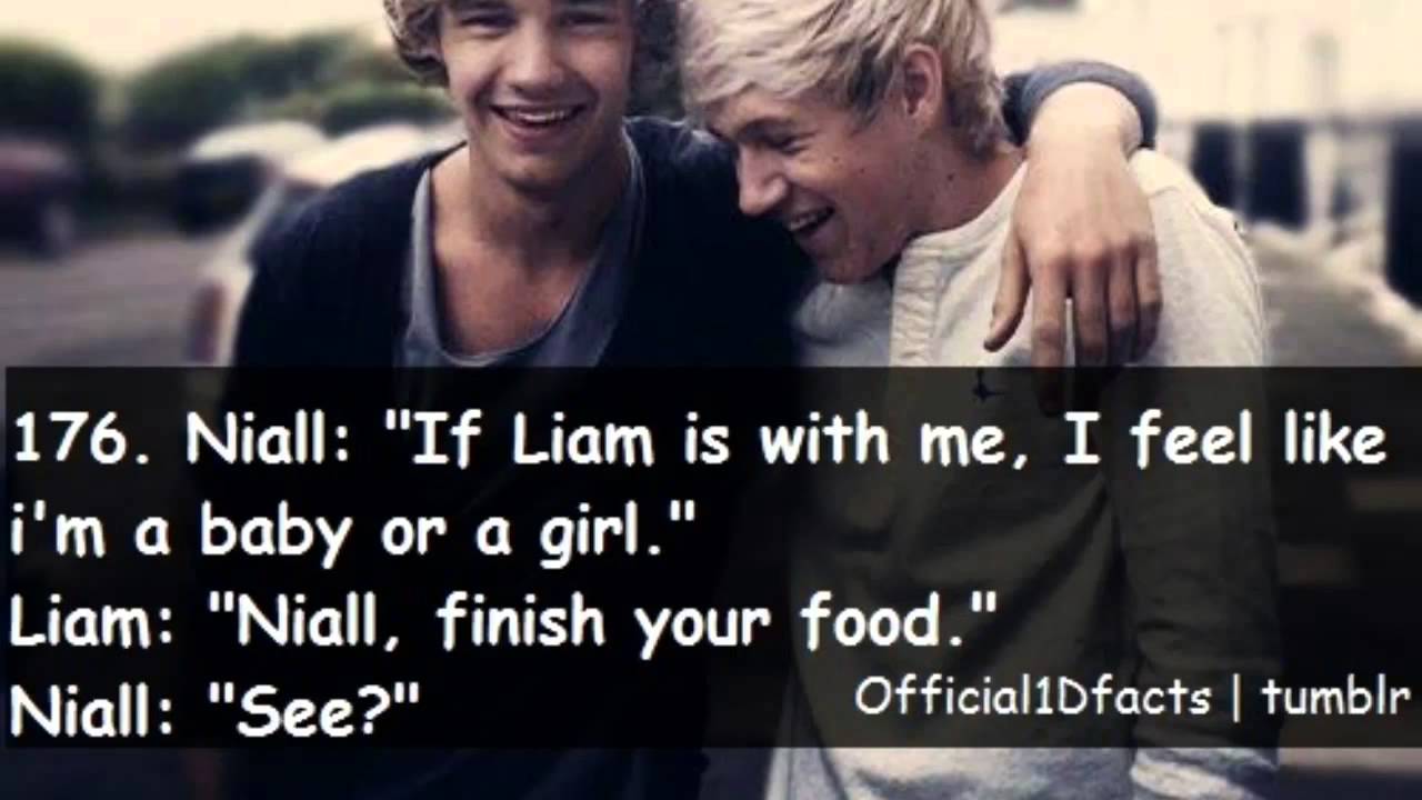 Liam Payne Facts | 2013