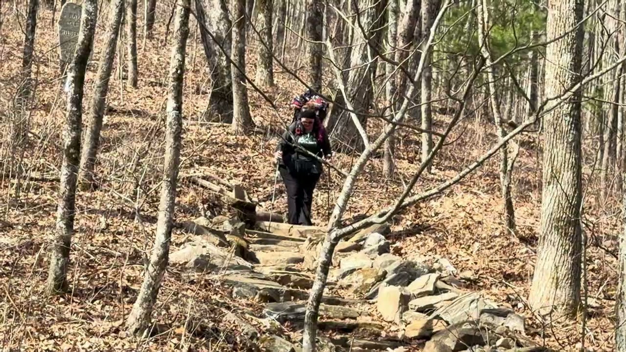 Day 6 Appalachian Trail Thru Hike Swaim Gap to Low Gap Shelter