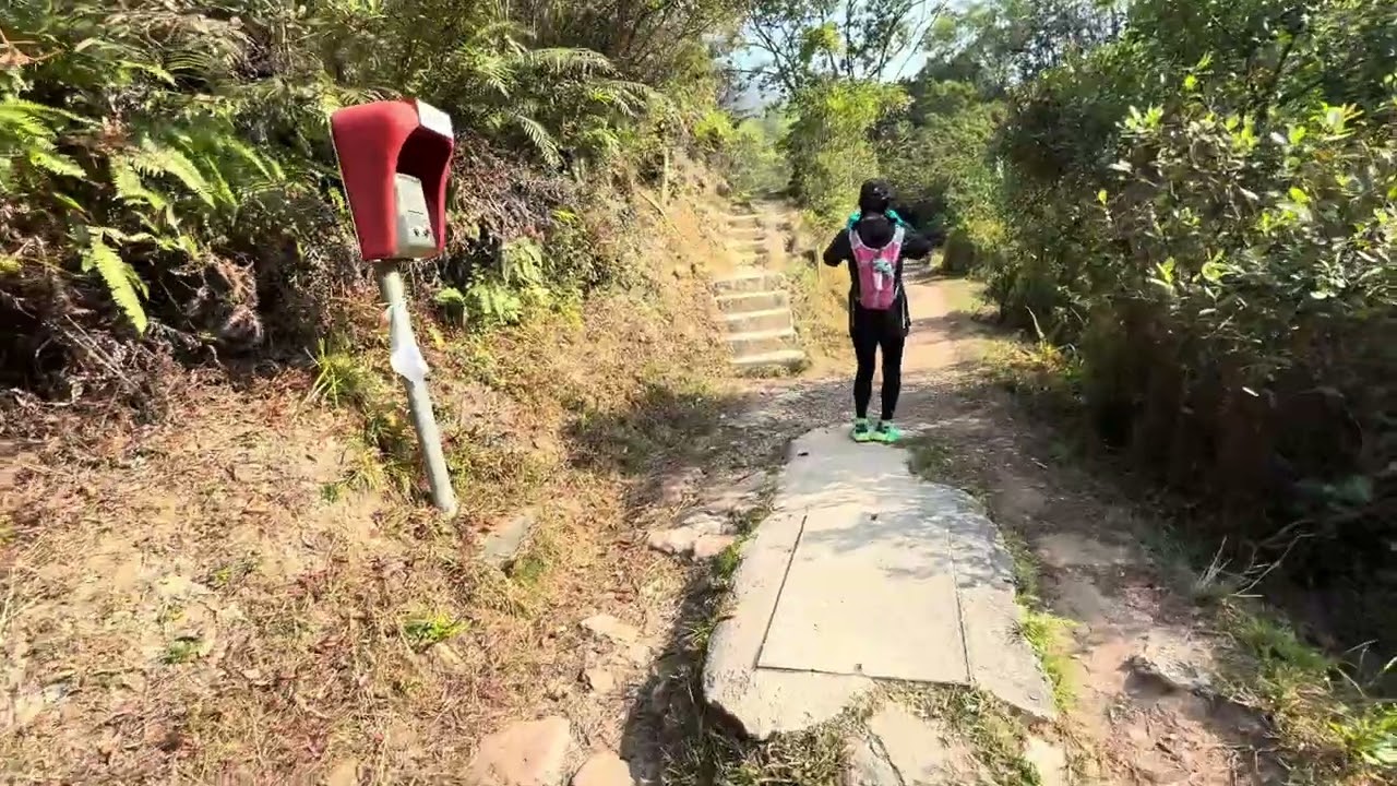 山中人：烏蛟騰-印洲塘郊遊徑-黃竹涌路/迷椏走廊-紅石門-企斜排徑-船灣淡水湖-苗三石澗/印洲塘郊遊徑-烏蛟騰 2025-12-06