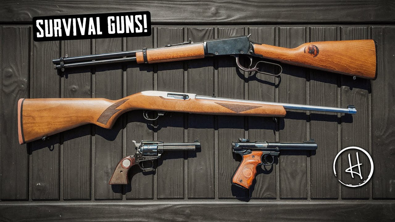 SURVIVAL GUNS!  What I Use to Defend the Homestead Longterm