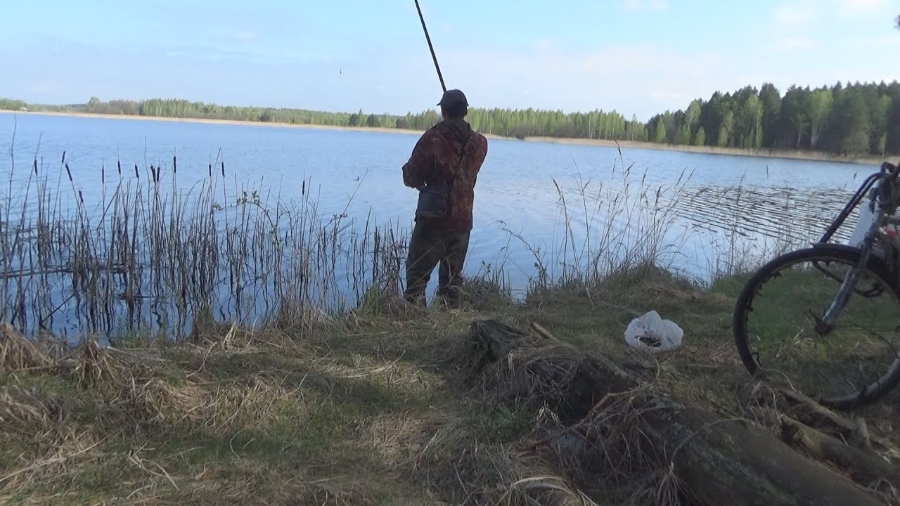 Отличная рыбалка на поплавок на озере по плотве
