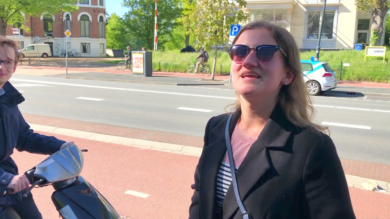 Bomans en zijn Haarlemse muren.