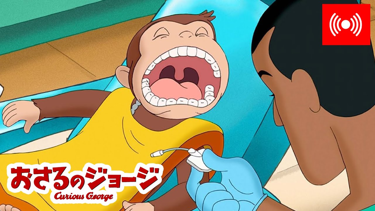 ライブ配信 🔴  おさるのジョージ 🐵 なぜ歯を磨くの？ 🦷 全編