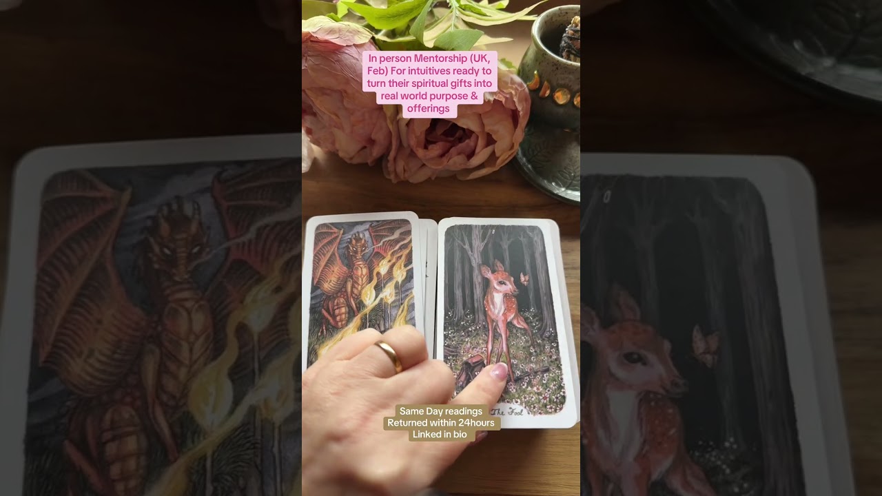 Which path should you choose?