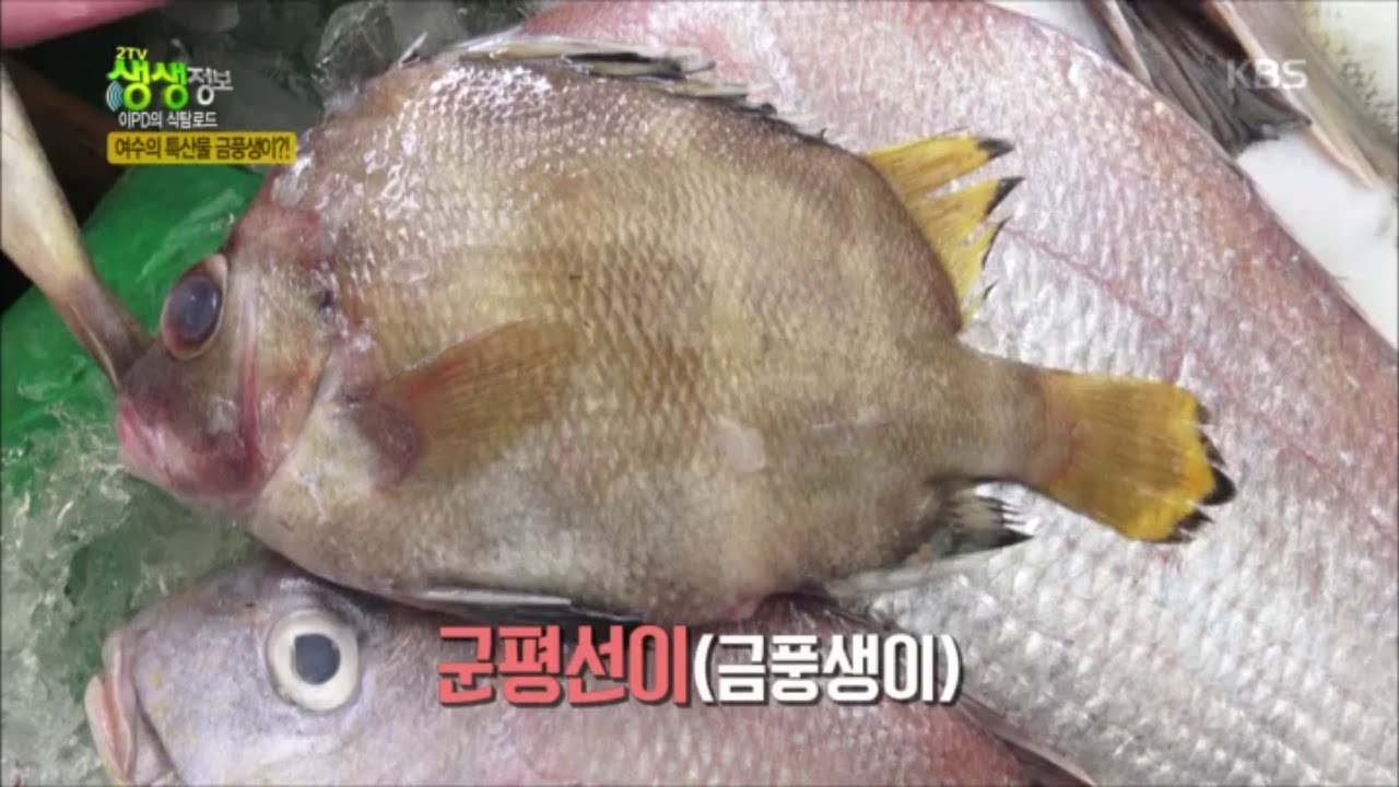 2tv 저녁 생생정보 - 여수의 맛! 엄청 고소한 군평선이 (금풍생이) 구이.20160519