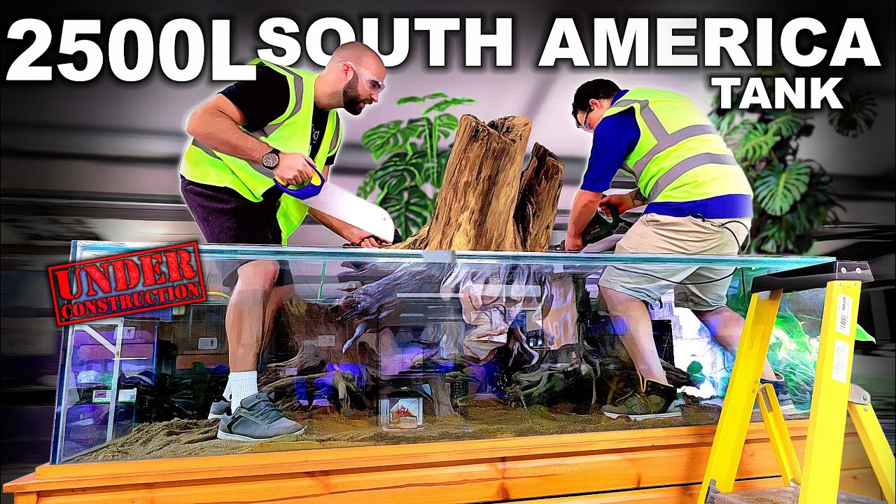 BUILDING A 2500L SOUTH AMERICAN AQUARIUM: 8ft x 5ft x 2ft (Construction Begins)