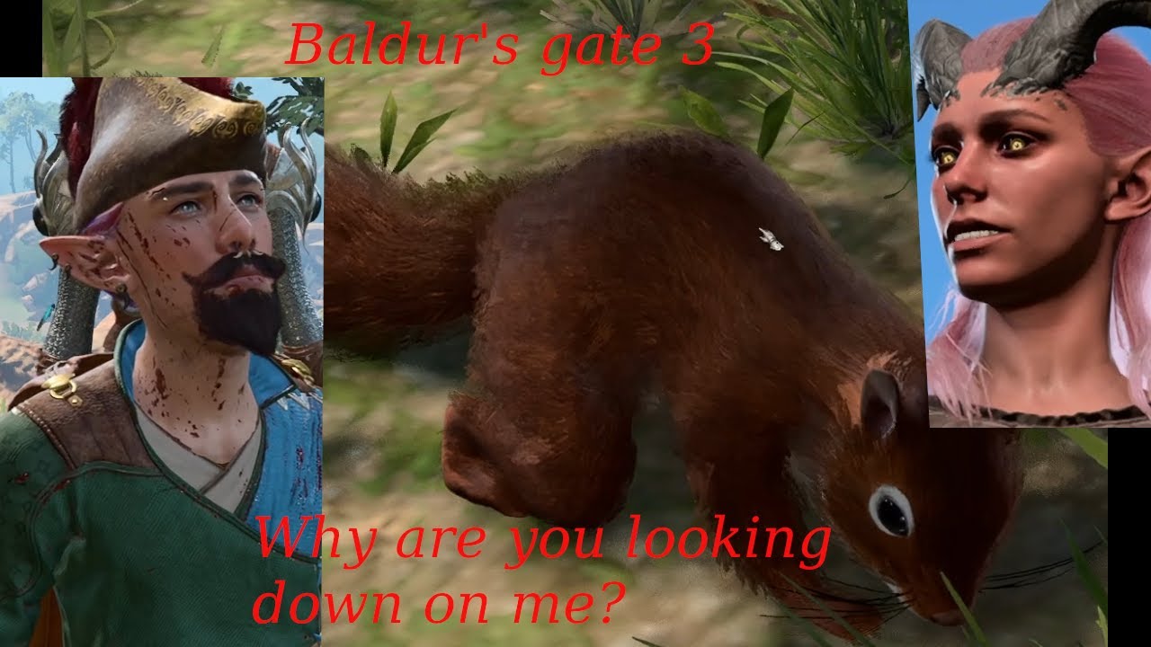 Solo play BG3, the polite barbarian, a bit short at the moment, part 4