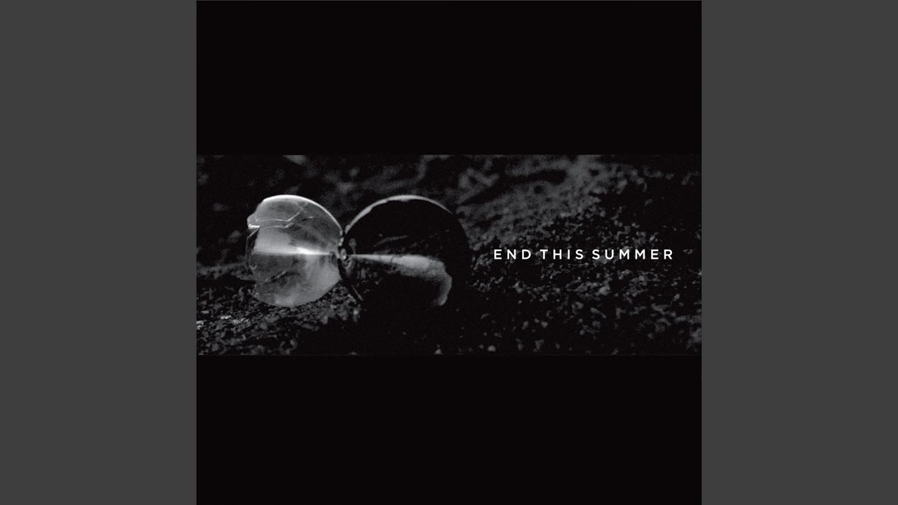 End This Summer (Shad Shadows Remix)
