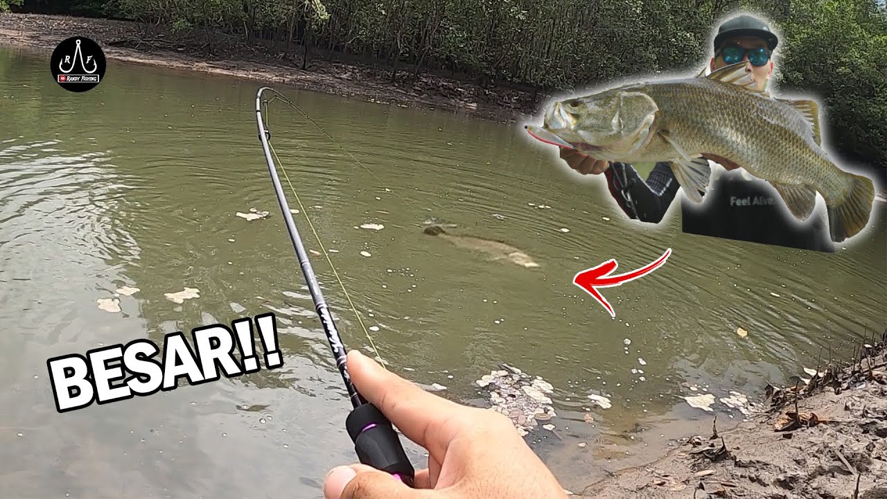 Caught My Biggest BARRA At Pulau Ubin!!!! | UltraLight Fishing | - EP104