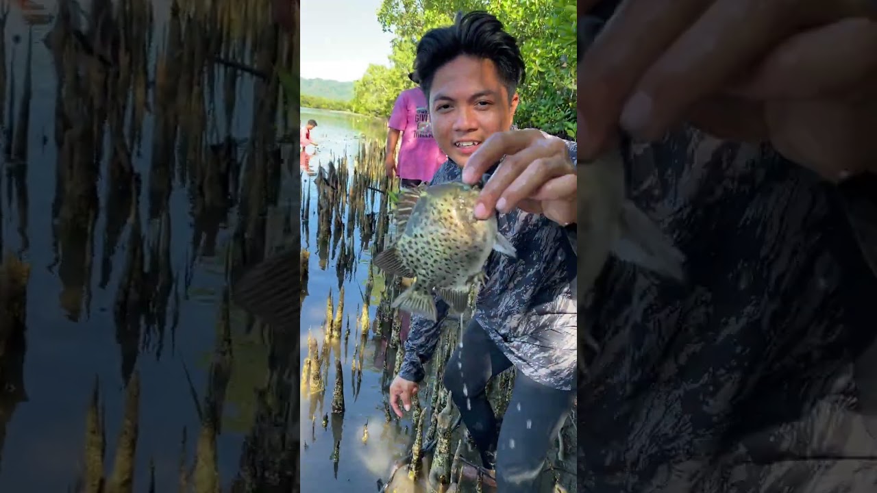 Nagsara kame ng lambat para sa samaral