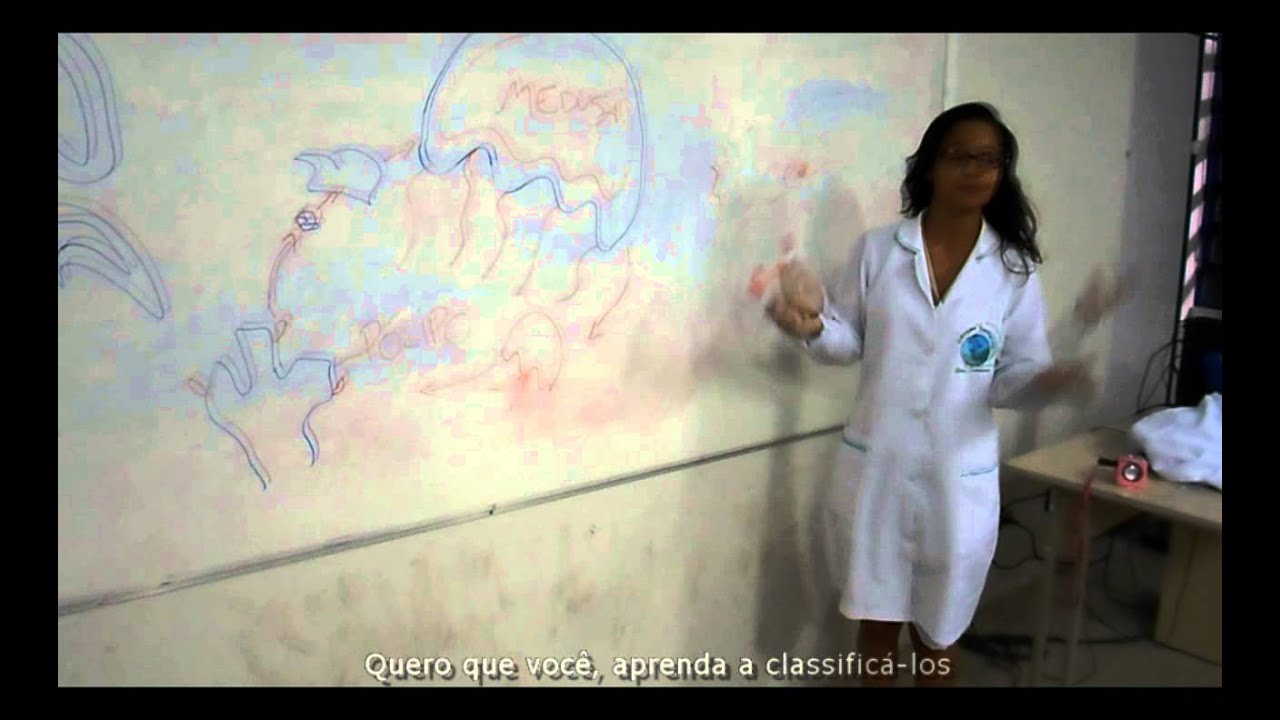 Paródia  dos  Cnidários - Zoologia dos Invertebrados