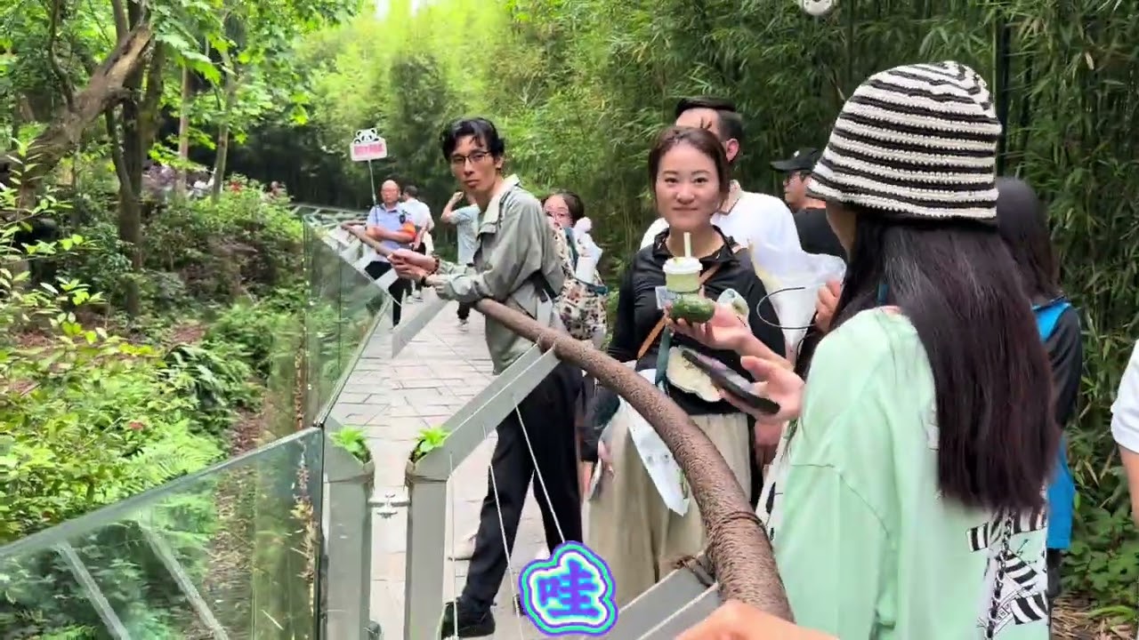 #今天下午去熊猫谷耍一会。