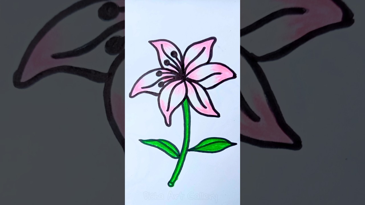 Lily Drawing 🌸😍😍 #youtubeshorts #shorts #viral #subscribe #trending #dishaartgallery #flowers