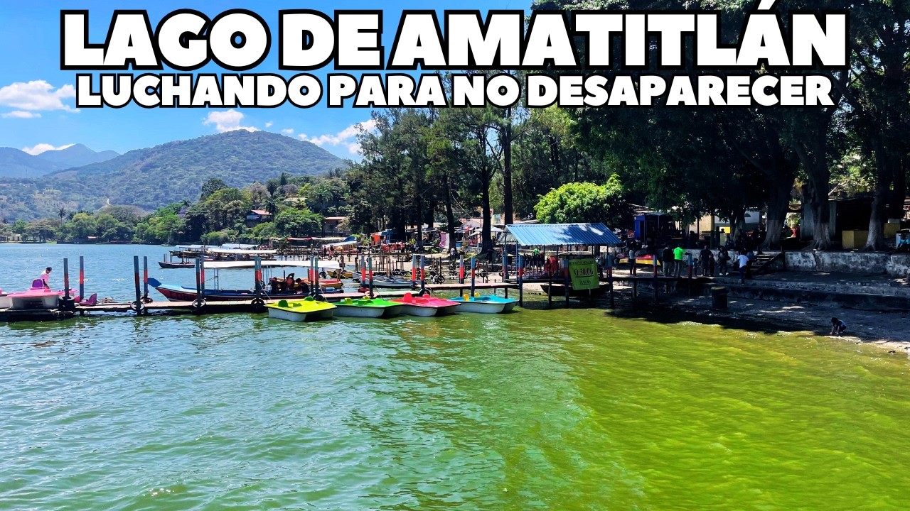 LAGO DE AMATITLAN, El lago que en su Agonía Lucha por Sobrevivir.