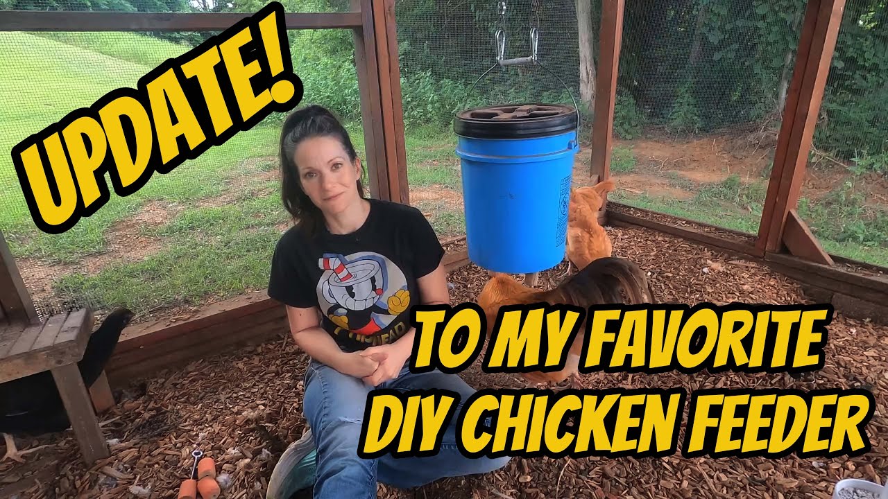 UPDATE! The Best DIY Automatic Chicken Feeder